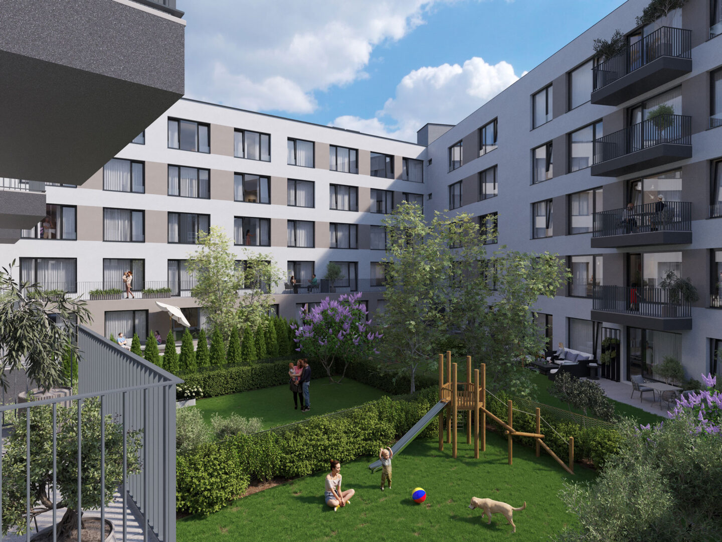 Project image